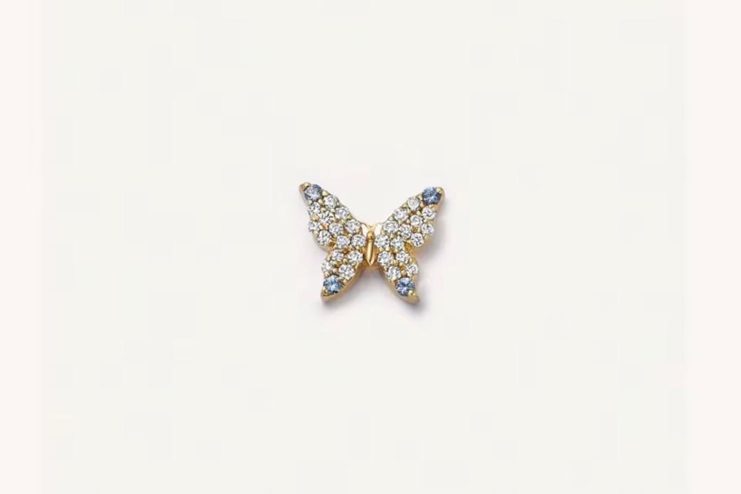 butterfly charm